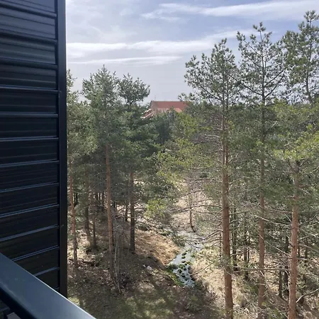 Divus Apartment